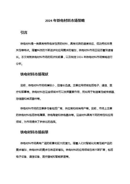 2024年铁电材料市场策略