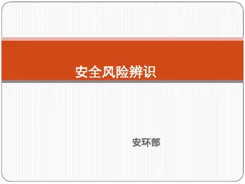 安全风险辨识