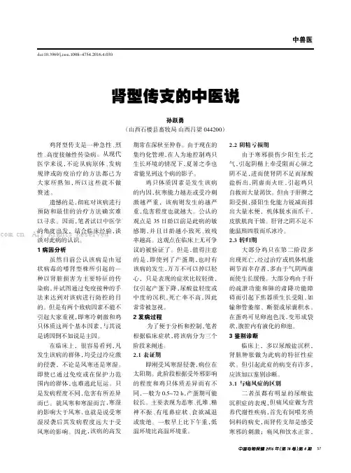 肾型传支的中医说