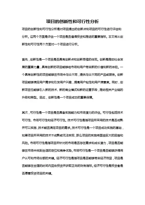 项目的创新性和可行性分析