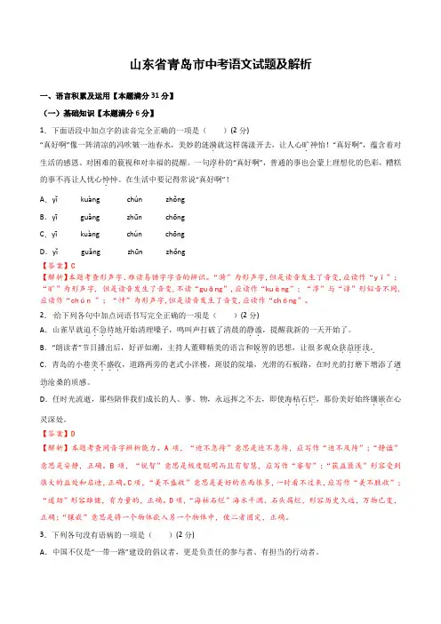 中考语文试题及解析    (20)