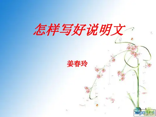 怎样写好说明文ppt课件