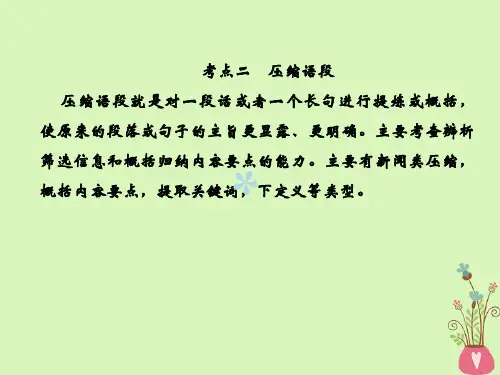 2019年高考语文总复习第三部分语言文字运用专题五扩展语句、压缩语段考点2扩展语句压缩语段课件新人教版
