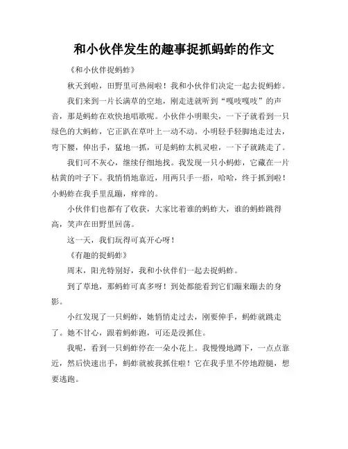 和小伙伴发生的趣事捉抓蚂蚱的作文