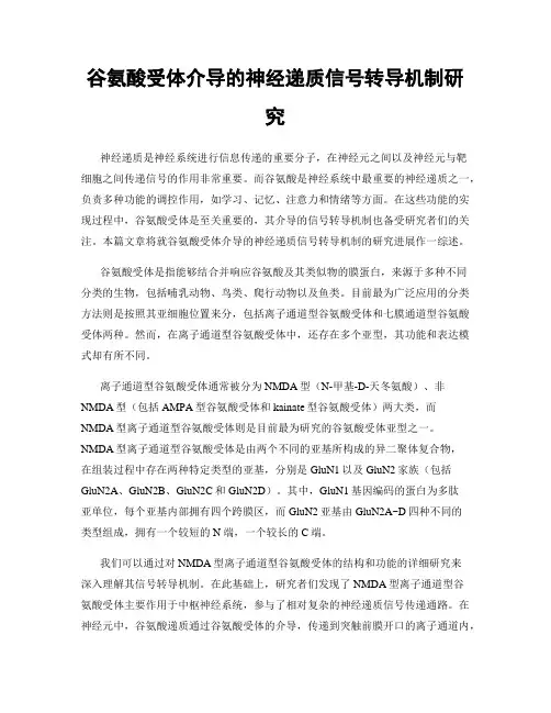 谷氨酸受体介导的神经递质信号转导机制研究