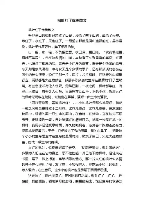 枫叶红了优美散文