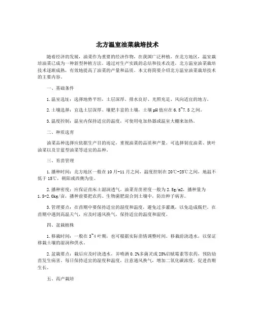 北方温室油菜栽培技术