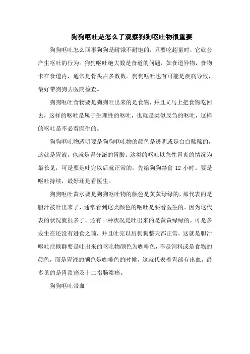 狗狗呕吐是怎么了观察狗狗呕吐物很重要