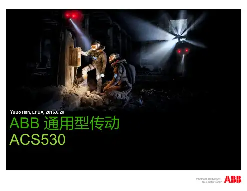 ABB变频器ACS530产品样本_