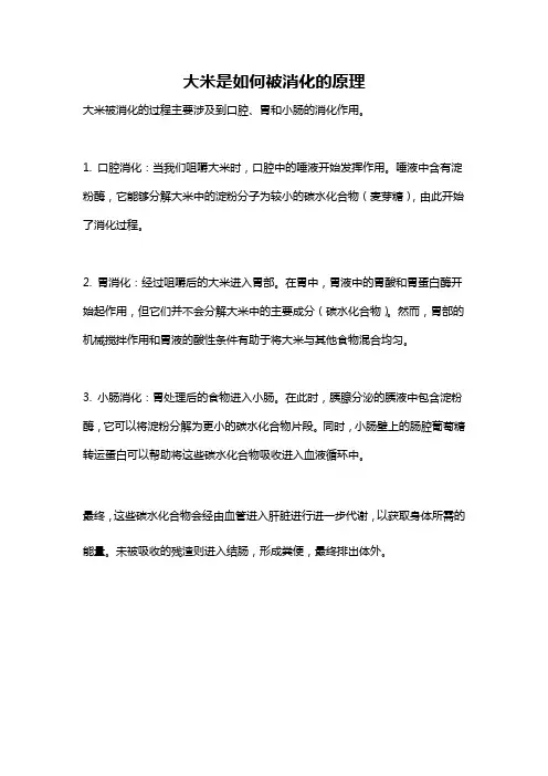 大米是如何被消化的原理