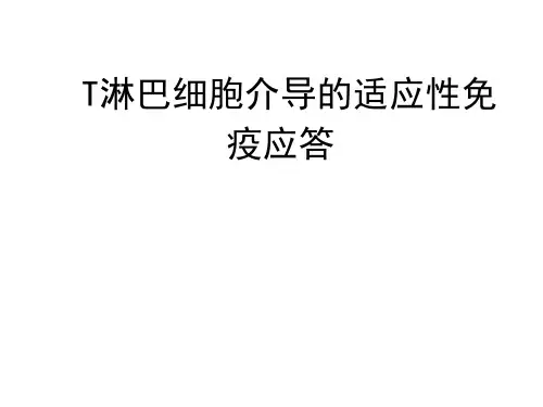 第12章 T细胞对抗原的识别及免疫应答