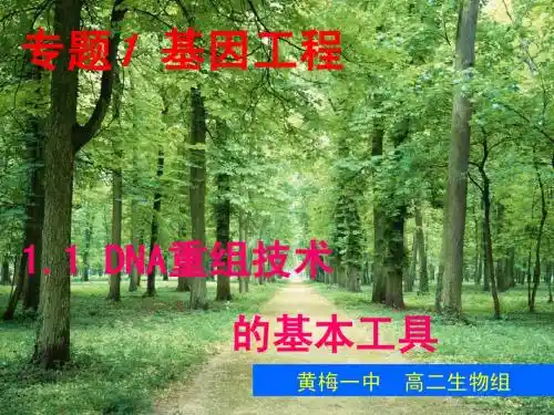 2.2.1动物细胞培养和核移植技术完善过且投影清晰 (2)