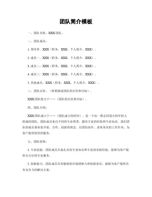 团队简介模板
