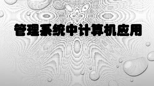 管理系统中计算机应用第六章课件