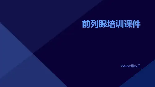 前列腺培训课件