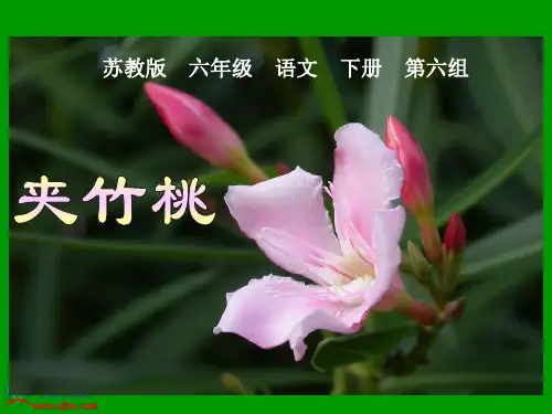 (苏教版)六年级语文(下册)课件-夹竹桃
