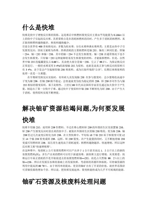 原子能院实习快堆专题报告