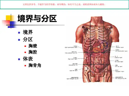 胸部医学知识讲座培训课件