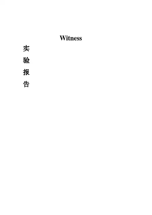 Witness综合实验报告