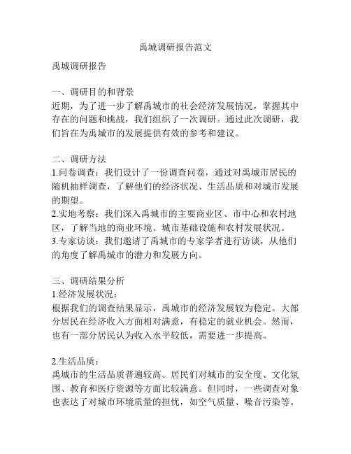 禹城调研报告范文