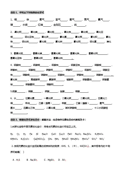化学式与化合价专题训练