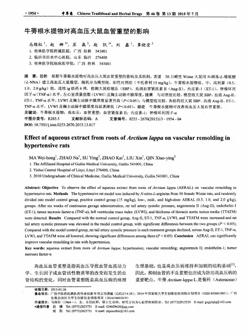 牛蒡根水提物对高血压大鼠血管重塑的影响