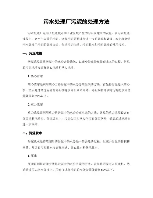 污水处理厂污泥的处理方法 (2)