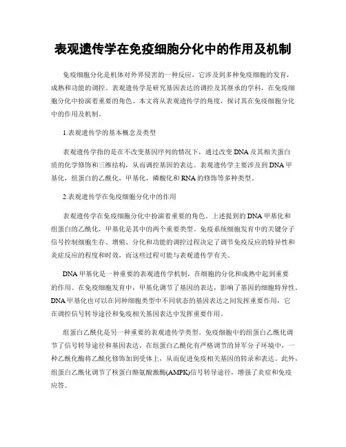 表观遗传学在免疫细胞分化中的作用及机制