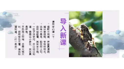 第21课《蝉》课件(共28张ppt)++2022-2023学年部编版语文八年级上册