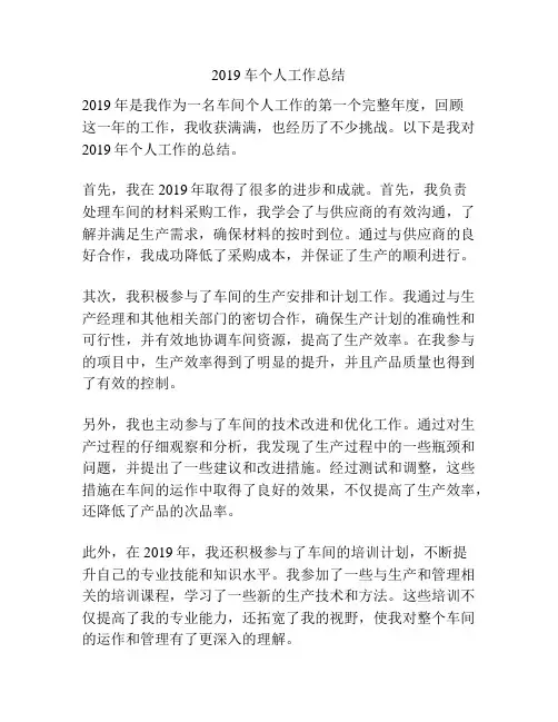 2019车个人工作总结