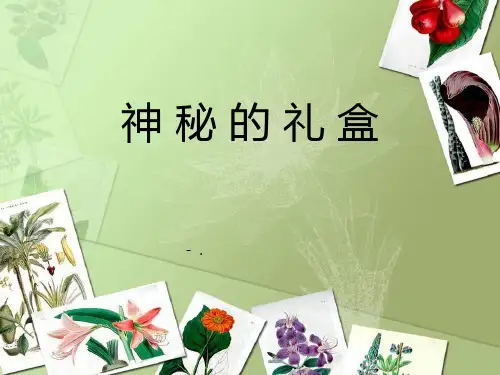 《神秘的礼盒》PPT课件