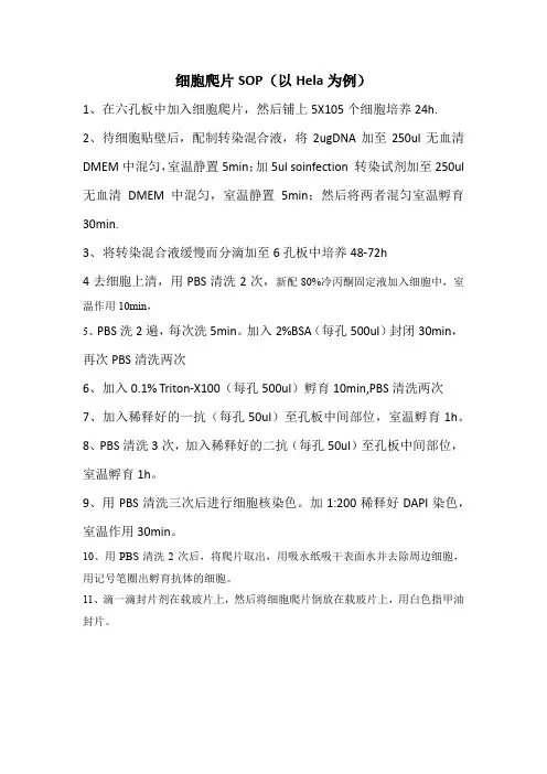 细胞爬片制作(Hela细胞为例)