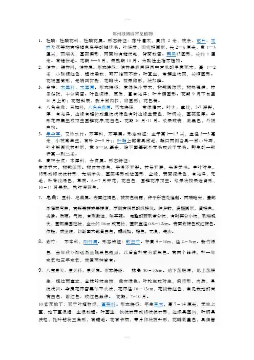 郑州绿博园常见植物