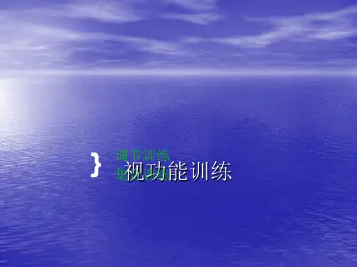 视功能训练