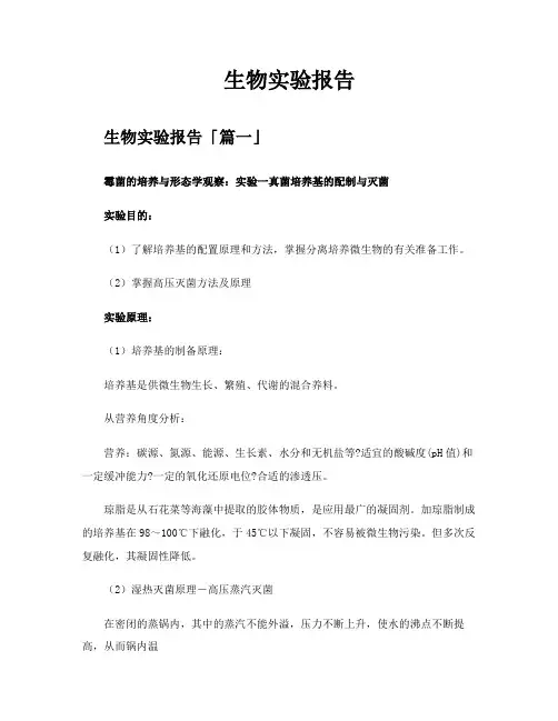 生物实验报告