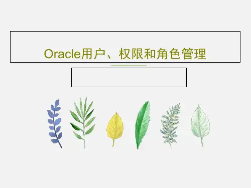 Oracle用户、权限和角色管理共77页文档