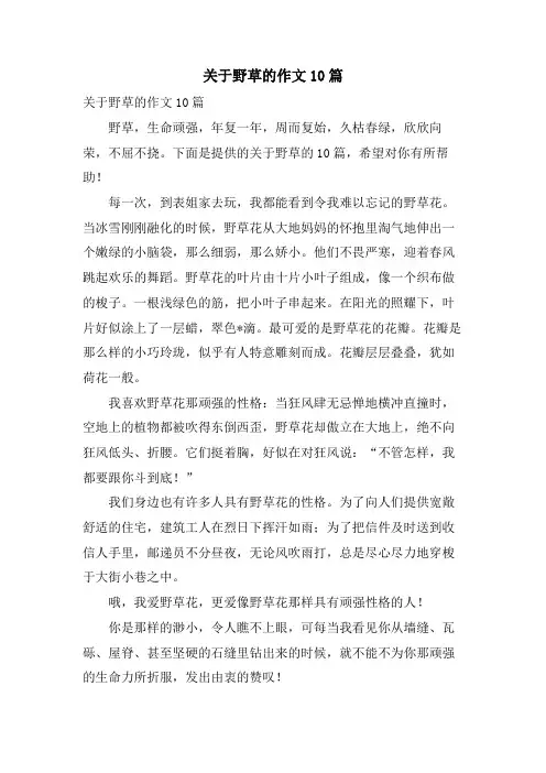 关于野草的作文10篇