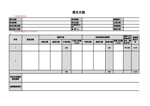项目月报模板