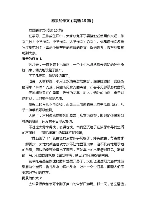 雾景的作文（精选15篇）
