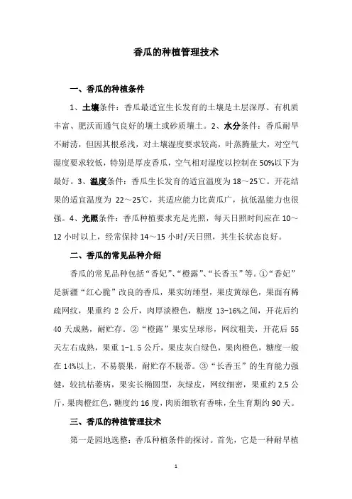 香瓜的种植管理技术