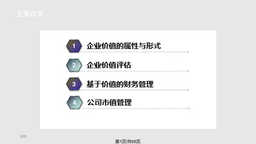 高级财务管理企业价值理论PPT课件