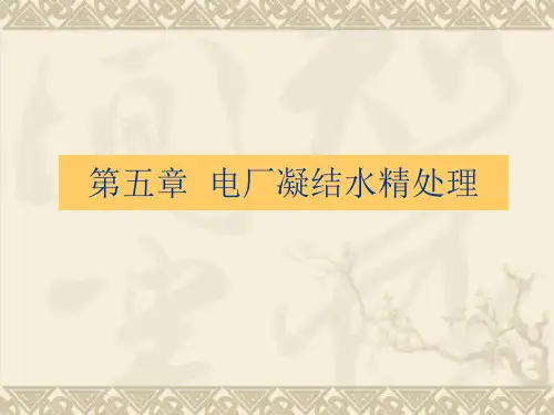 电厂凝结水精处理
