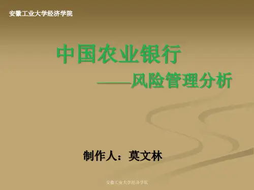 中国某银行风险管理分析.pptx