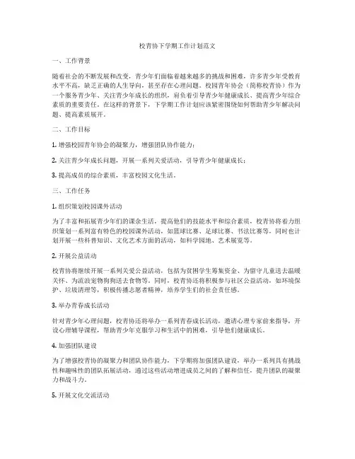 校青协下学期工作计划范文