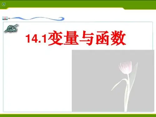 变量与函数 PPT课件 25 人教版