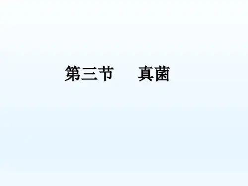 七年级生物上册第三节《真菌》参考课件