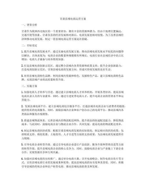 甘肃县域电商运营方案