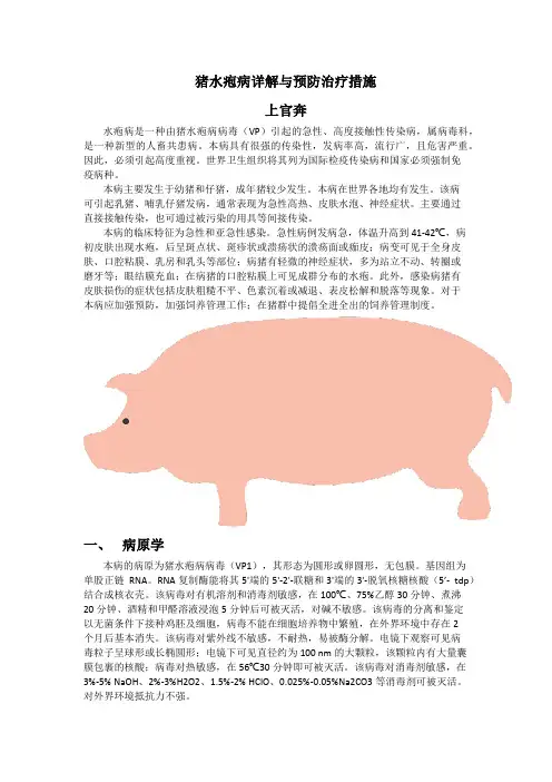 猪水疱病详解与预防治疗措施