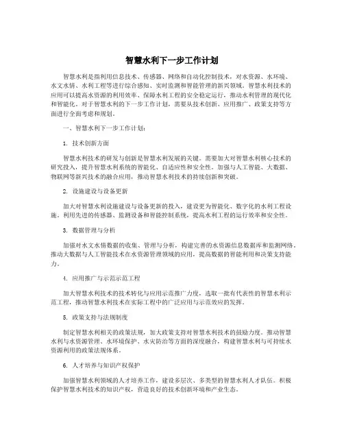 智慧水利下一步工作计划