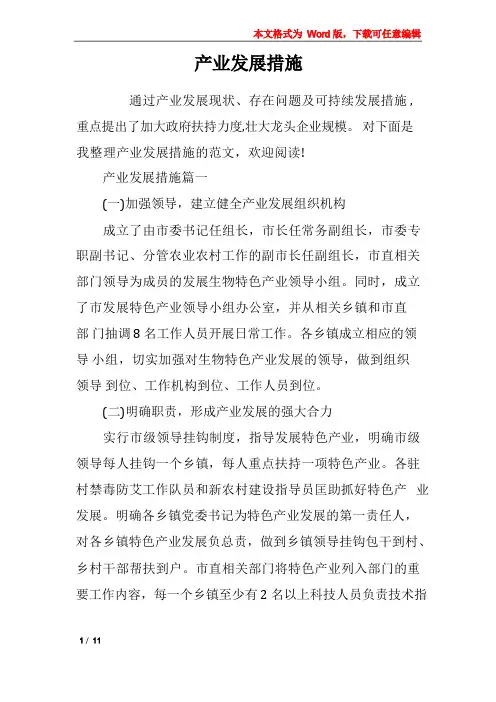 产业发展措施